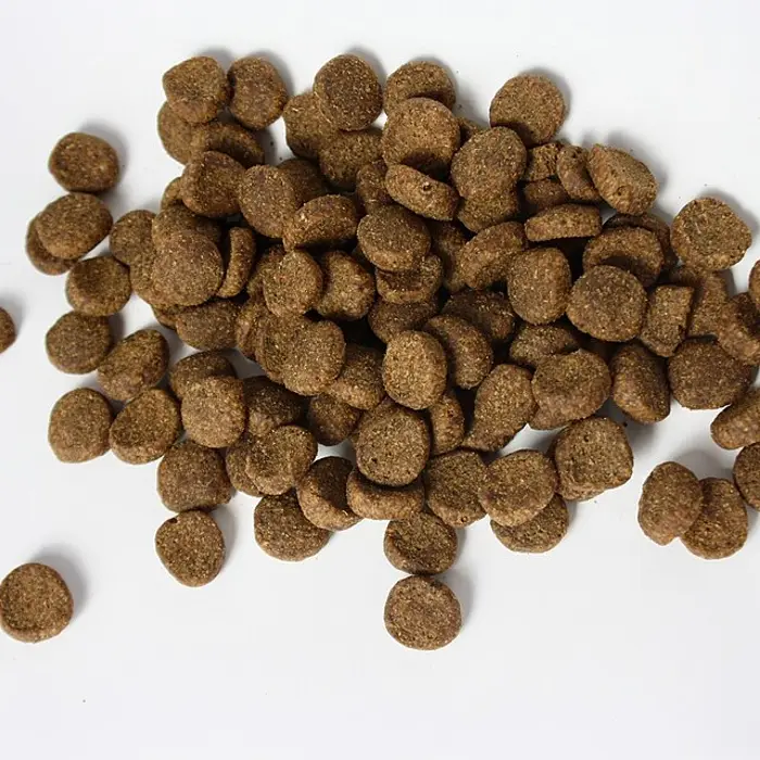 Ração para Cães · 10kg