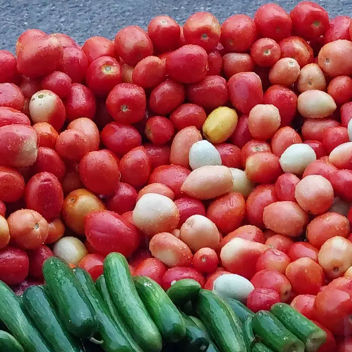 Tomate · kg