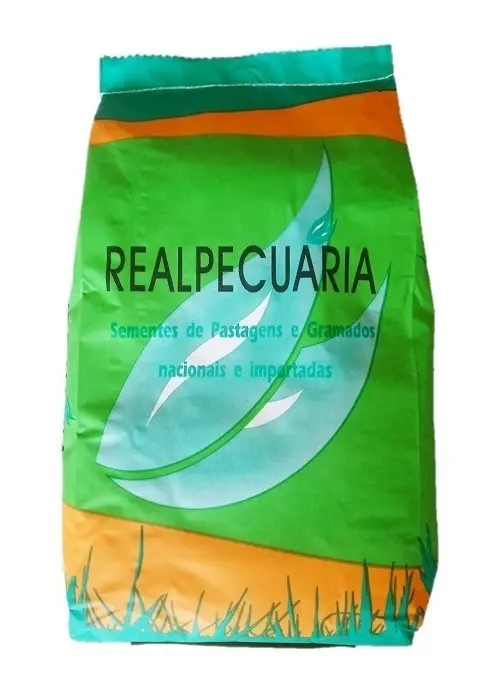 SEMENTE DE PENSACOLA